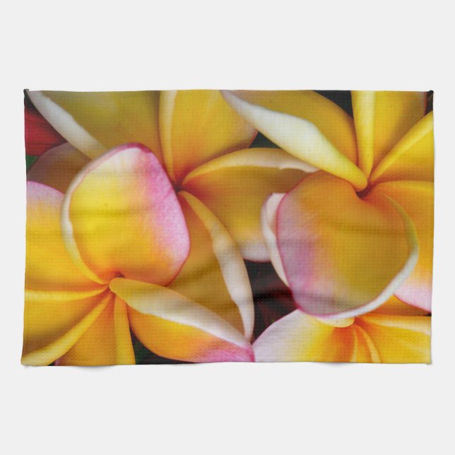 Hawaiansk Frangipani Kökshandduk (Horisontell)