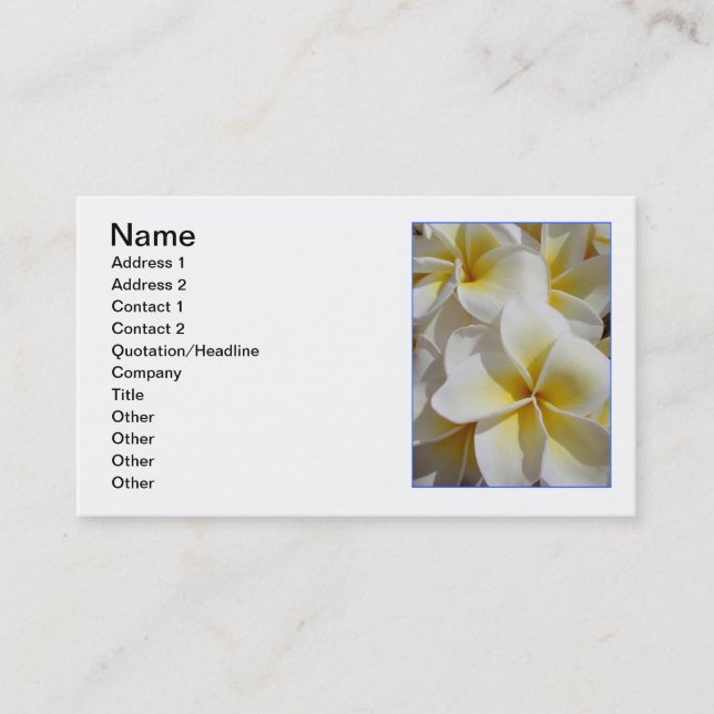 Hawaiansk Frangipani Visitkort (Framsida)