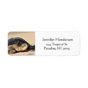 Hawaiansk havssköldpaddaadressetiketter returadress etikett