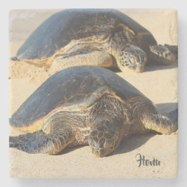 Hawaiansk havssköldpaddakustfartyg stenunderlägg