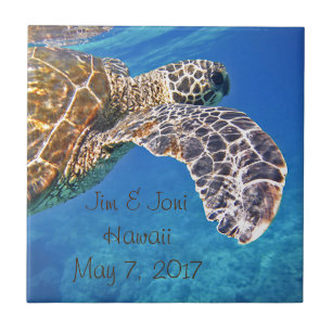 Hawaiansk havssköldpaddasimning kakelplatta