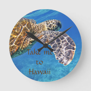 Hawaiansk havssköldpaddasimning rund klocka
