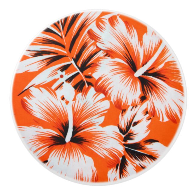 Hawaiansk hibiskusblommabakgrund knopp (Framsidan)