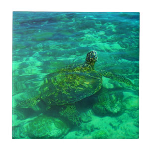 Hawaiansk Honu havssköldpadda Kakelplatta