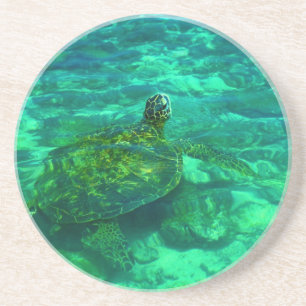 Hawaiansk Honu havssköldpadda Underlägg