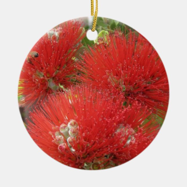 Hawaiansk infödd Ohia Lehua blommadesign Julgransprydnad Keramik (Framsidan)