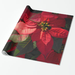 Hawaiansk julstjärna presentpapper
