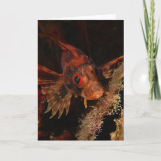 Hawaiansk Lionfish Kort