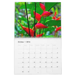 Hawaiansk naturkalender kalender