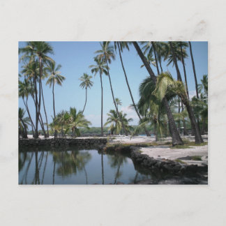 Hawaiansk oas vykort