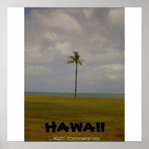 Hawaiansk palmträd poster