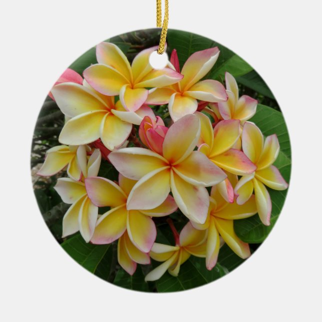 Hawaiansk Plumeria Julgransprydnad Keramik (Framsidan)