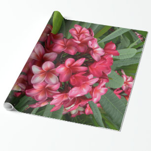 Hawaiansk Plumeria Presentpapper