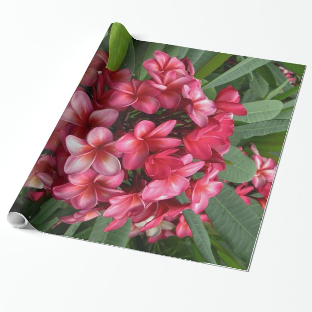 Hawaiansk Plumeria Presentpapper (Utrullad)