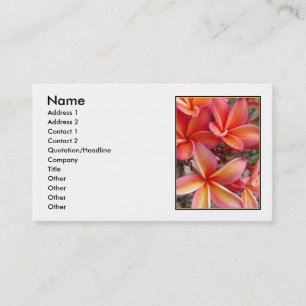 Hawaiansk Plumeria Visitkort