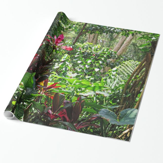 Hawaiansk Rainforest Presentpapper (Utrullad)