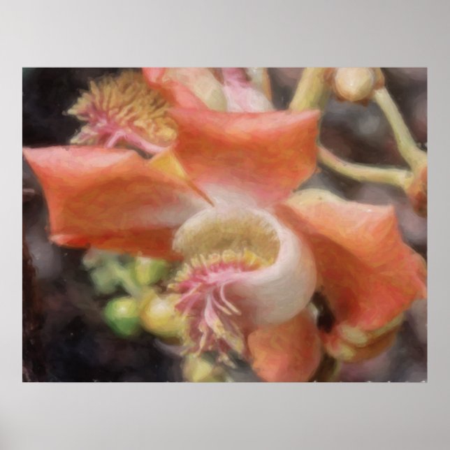 Hawaiansk tropisk blommaaffisch poster (Framsidan)