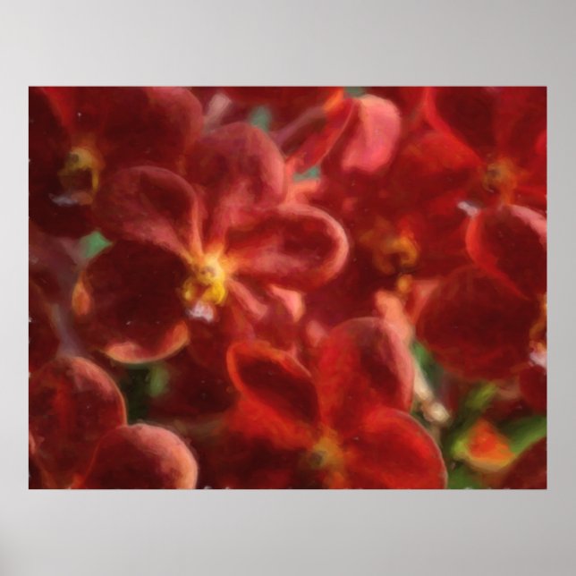 Hawaiansk tropisk Orchidaffisch Poster (Framsidan)