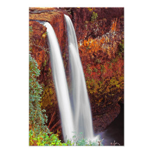 Hawaiansk vattenfall fototryck