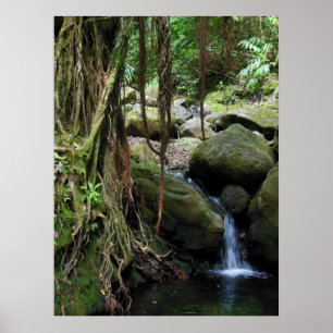 Hawaiansk vattenfall poster