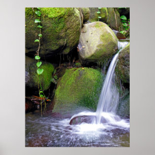 Hawaiansk vattenfall poster