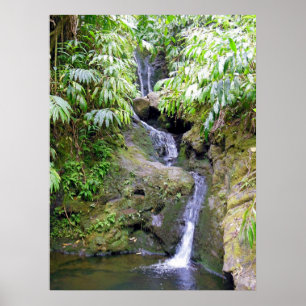 Hawaiansk vattenfall poster