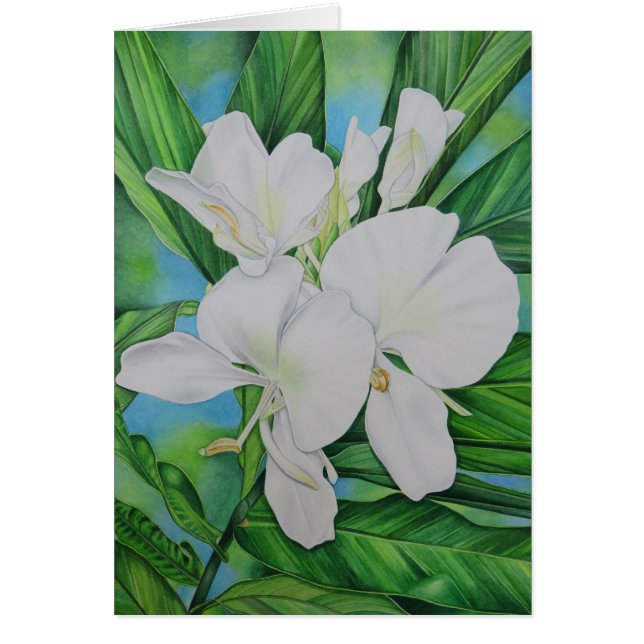 Hawaiansk vitingefära hälsningskort (Framsidan)