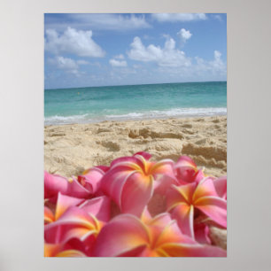 Hawaianska Dayz Poster