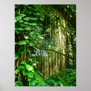 Hawaianska djungelVines Poster