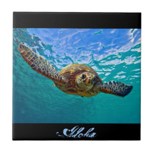 Hawaianska Honu - havssköldpadda Kakelplatta