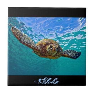 Hawaianska Honu - havssköldpadda Kakelplatta