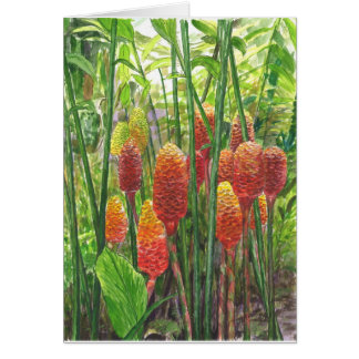 Hawaianska ingefäraväxter hälsningskort