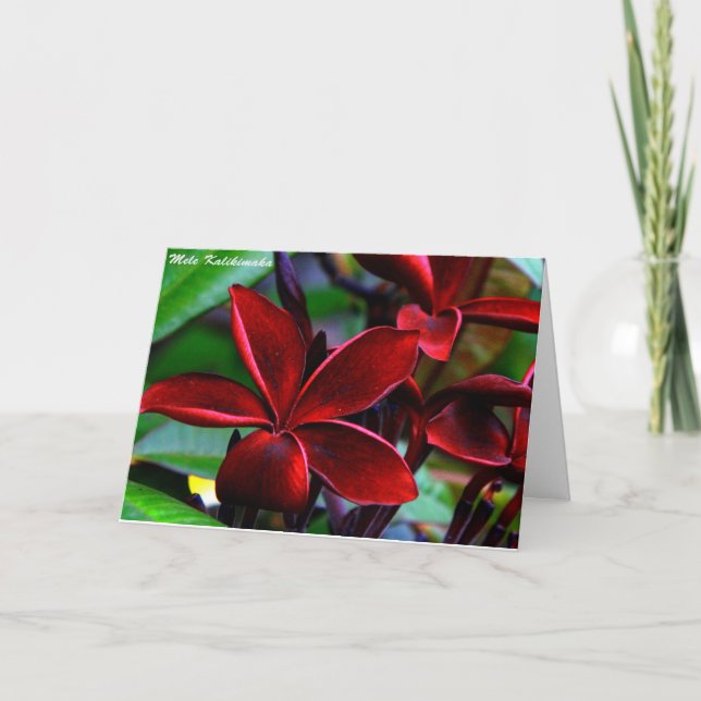 Hawaianska julkort helgkort (Framsida)