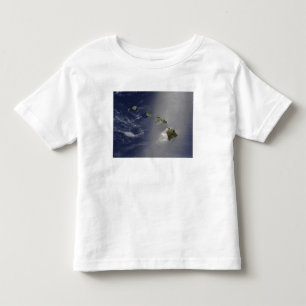 Hawaianska öar tee