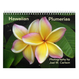 Hawaianska Plumerias Kalender