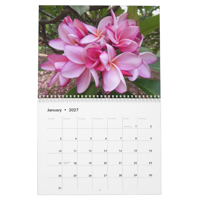 Hawaianska Plumerias Kalender (Jan 2027)
