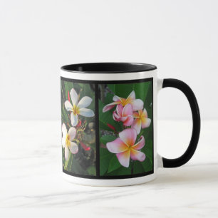 Hawaianska tropiska blommor för Plumeria på Mugg