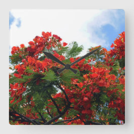 Hawaianskt kungligt Poinciana blommarträd Fyrkantig Klocka