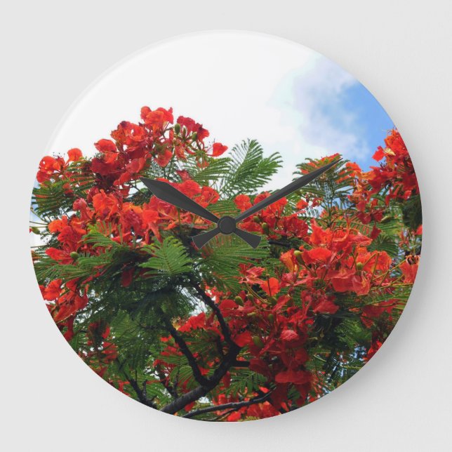 Hawaianskt kungligt Poinciana blommarträd Stor Klocka (Framsida)