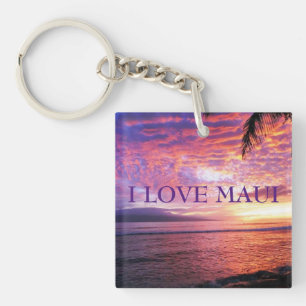 HAWAII ALOHA-INSAMLING