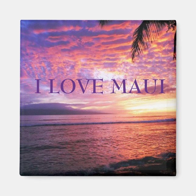 HAWAII ALOHA-INSAMLING MAGNET (Framsidan)
