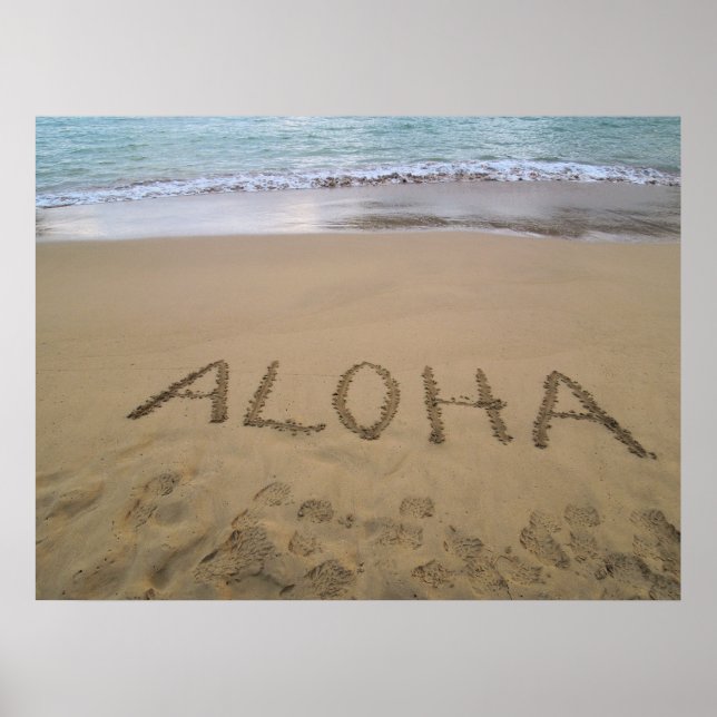 Hawaii Aloha Poster (Framsidan)