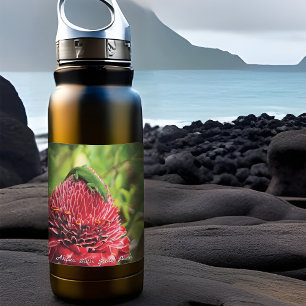 Hawaii Anole Lizard Red Tropical Flower Akaka Fall Fyrkantigt Klistermärke