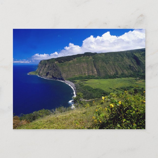 Hawaii Bevackra Beach och Mountains Vykort (Framsida)