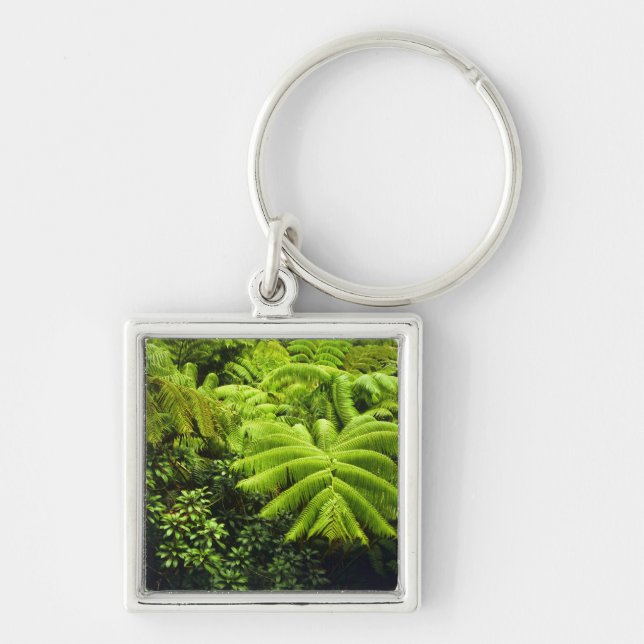 Hawaii, Big Island, Frodig tropisk grönska i 2 Fyrkantig Silverfärgad Nyckelring (Framsidan)