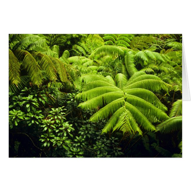 Hawaii, Big Island, Frodig tropisk grönska i 2 Hälsningskort (Framsidan Horizontal)