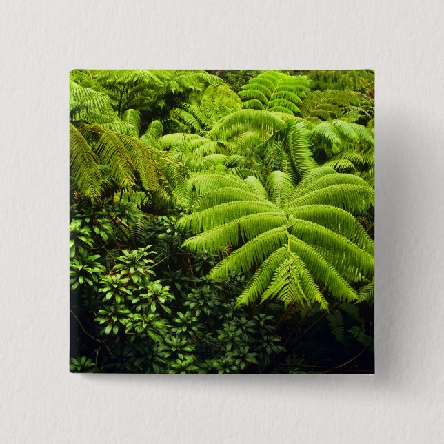 Hawaii, Big Island, Frodig tropisk grönska i 2 Knapp (Framsida)