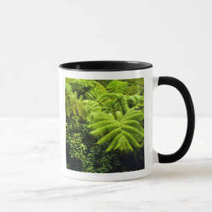 Hawaii, Big Island, Frodig tropisk grönska i 2 Mugg