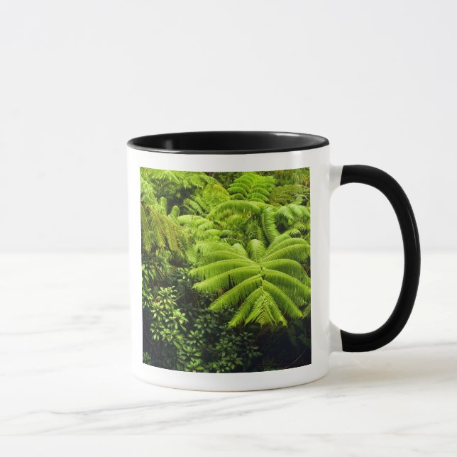 Hawaii, Big Island, Frodig tropisk grönska i 2 Mugg (Höger)