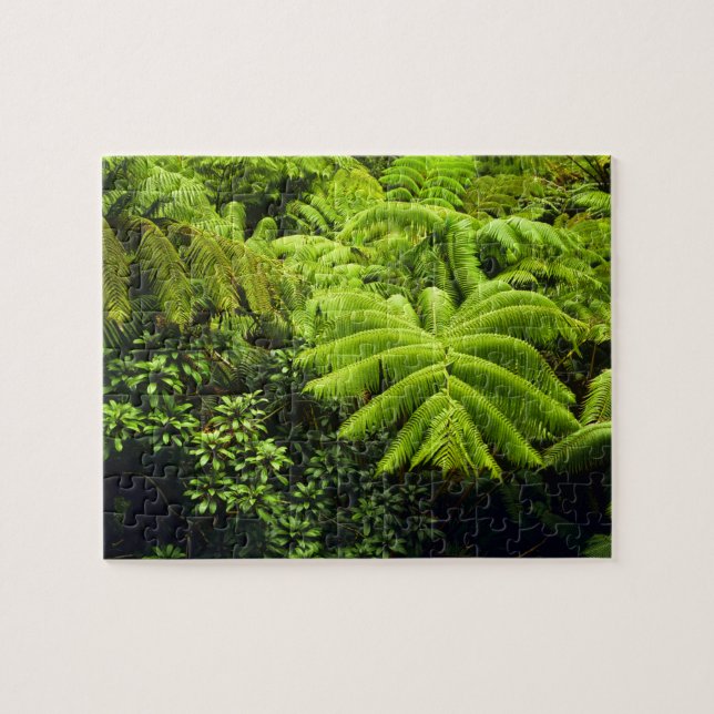 Hawaii, Big Island, Frodig tropisk grönska i 2 Pussel (Horisontell)